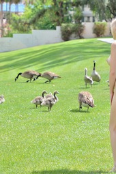 Alexia Flashing In Public