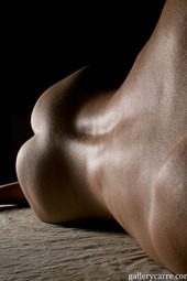 Aristic Beauty