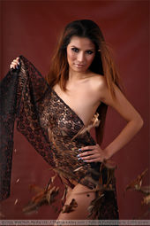Diana Q Posing In The Studio