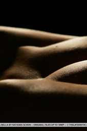 Decorative Pics of Aria Bella