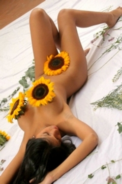 Karla Spice - Sunflower
