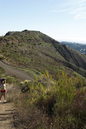 Irene Quinn Vs The Sepulveda Pass